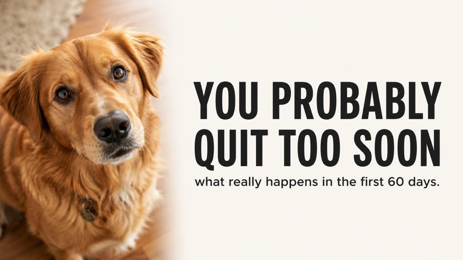 Most people quit their dog's supplement right before it starts working