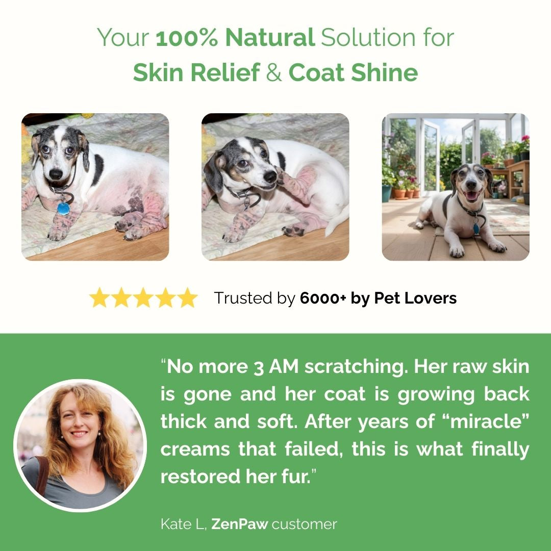 Advertisement for a natural solution for skin relief and coat shine with images of a dog and text from a customer - CoatRestore by ZenPaw