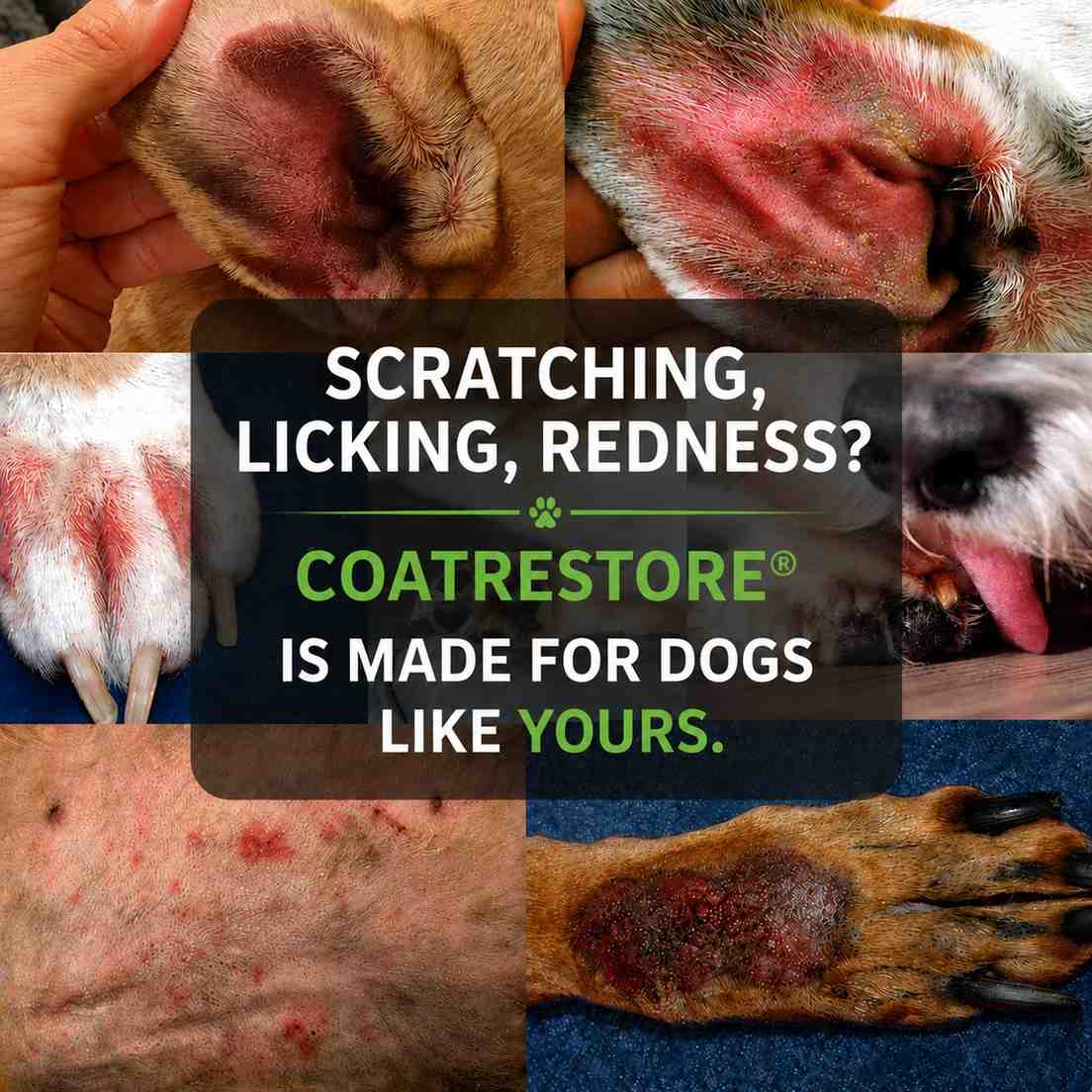 Scratching_licking_redness Coatrestore