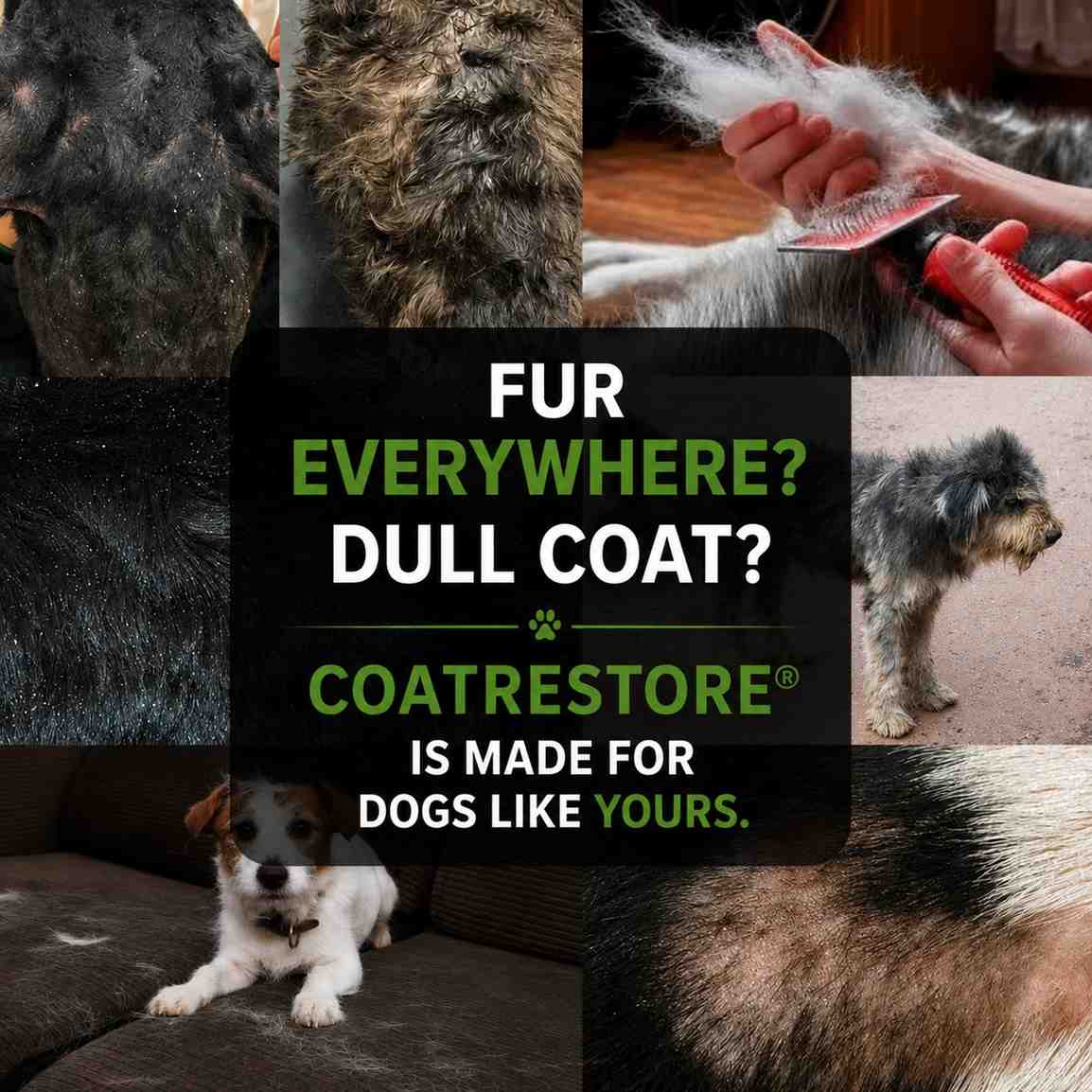 Fur everywhere? Coatrestore