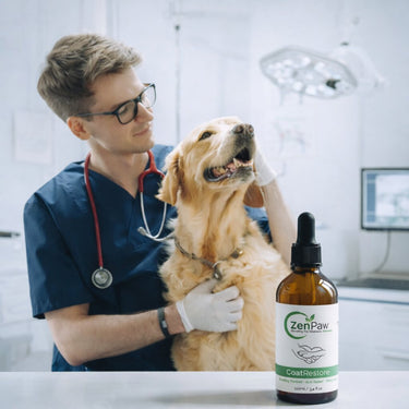 Veterinarian holding a dog and a bottle of ZenPaw product in a clinic setting